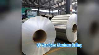 Plafon Aluminium RAL 3003 Warna 30 Tahun